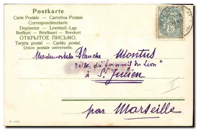 Kobieta w białej sukni — ilustracja czerwonych kwiatów iris — wydawca S. 403 — Rewers