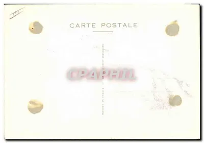 Tre cavalli — illustrazione — Ansett Bermona — Verso