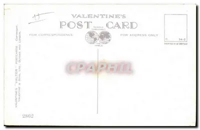 Cavalo e potro — Sob a proteção materna — Florence E. Valter, n° 2862 — Verso