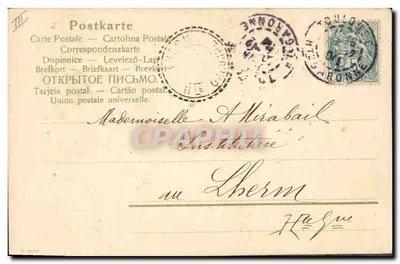 Kwiaty róży szalejkowej — Wesołych Świąt 1905 — wydawca nie widoczny — Rewers