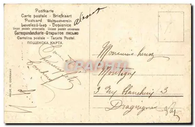 Róże szarańczowe i gołębie — karta pocztowa niemiecka — MADE IN GERMANY — Rewers