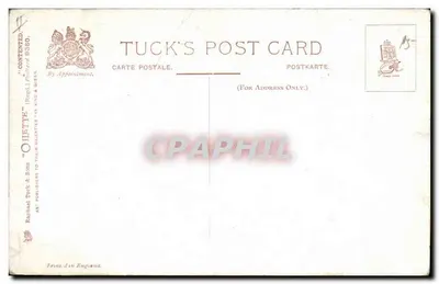 Paisagem rural com jumento e ovelhas — Sydney Hayes — Tuck's Post Card — Verso