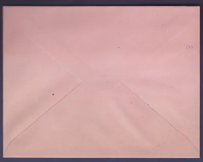 Guinee Pełna pocztówka 14 5*11cm 25c Grupa Marron Nowa — Rewers