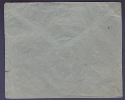Guiné Carta com par de 25c carimbada 26 MARÇO 29 para Paris — Verso
