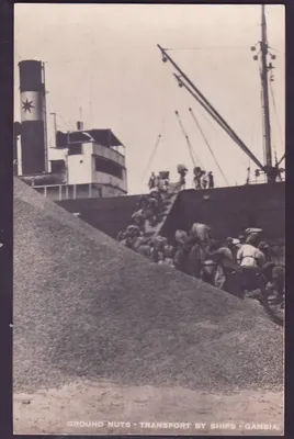 Bilhete postal moderno Transporte de castanhas por navios Navio