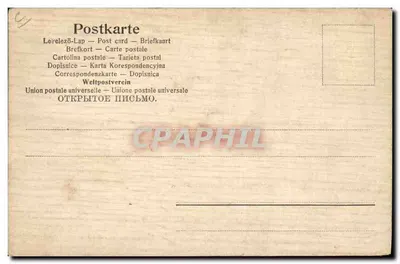 Fougères de sapin — Joyeux Noël ! — Union postale universelle — Verso