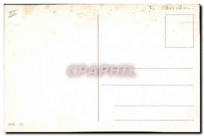 El Arrastre — spektakl byczka — T. Corrida — Rewers