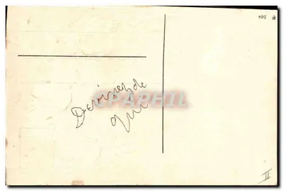 Bukiet chrysantemów i ryba — kartka życzona — wydawca anonimowy, nr 564 — Rewers