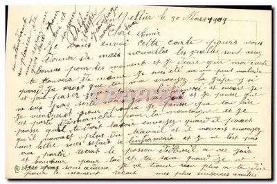 Peixe e lavanda — cartão de amizade — editor não identificado — Verso