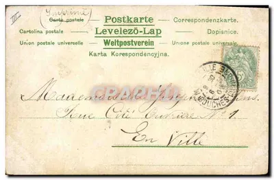 Cavaliere a cavallo — Foresta — E.S.D. Série 509 — Verso
