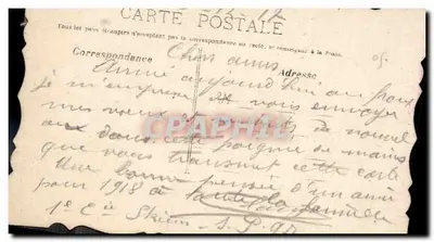 Flores de primavera — buquê de pensos e violetas — editor desconhecido — Verso