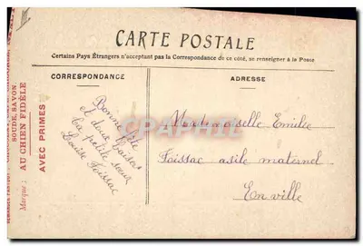 Mille bei baci — cartolina decorativa con mazzo di fiori e mano — editore: AU CHIEN FIDÈLE — Verso