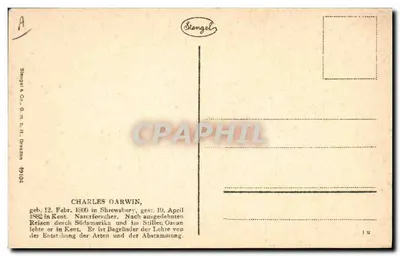 Charles Darwin — retrato gravado com assinatura — Stiangel & Co. n° 49104 — Verso