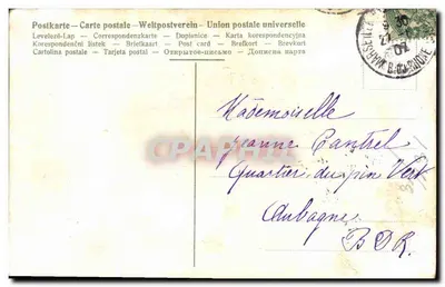 Arranjo de violetas e flores — Lembrança — editor desconhecido, número de série não visível — Verso