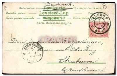 घोड़ा चलाने वाला — प्रकाशक 'Levelezö-Lap', श्रृंखला 509 — तिथि 1908 — पीछे