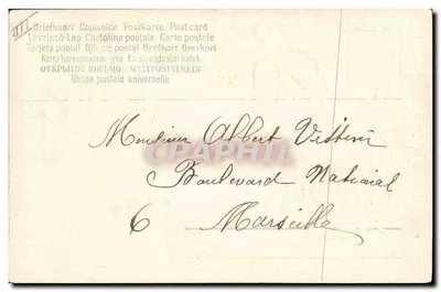 Flores de cerezo — Año 1906 — Unión postal universal — Reverso