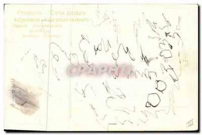 Cartolina di auguri 1907 — decoro di rametti di abete — editore Weitpostverein — Verso