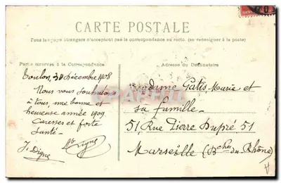 Buon Anno 1909 — decoro di sempreverde e fiori — editore non visibile — Verso