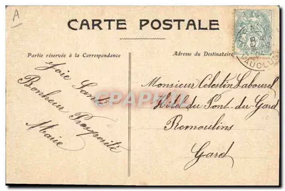 Bom Ano 1905 — folhas de trêfola e decorações — editor desconhecido — Verso