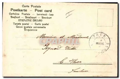 Mazzo di gigli e viola — editore anonimo, serie 908, n° 2454 — Verso