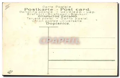 Hand die een bosje viooltjes aanbiedt — Denk aan mij — nr. 626 — Achterkant