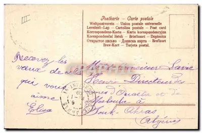 Mata de myosotis — Boa Ano — editor desconhecido — Verso
