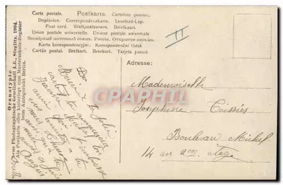 Młoda kobieta w kapeluszu z falbankami — stroj w stylu wiktoriańskim — wydane przez Stiegitz & Cie, Berlin — Rewers