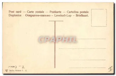 Fioletowe serca — Karta pocztowa z serii Natura n°5 — Rewers