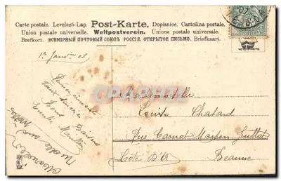 Arranjo de violetas — Boa e feliz ano — editor não identificado, número de série não visível — Verso