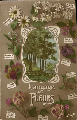Linguagem das Flores — Nouvetta, n° 655