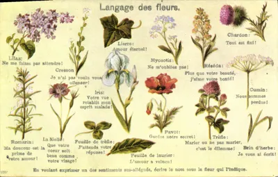 Linguagem das flores — Editor: Edições André Hétilard, Paris — Número de série: 9302