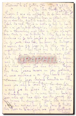 A Linguagem dos Pássaros — FURIA 205 — Verso