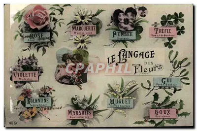 Bilhete postal antigo Fantasia O idioma das flores