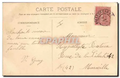 Fleurs de camomille — bouquet dans un vase bleu — éditeur non visible — Rewers