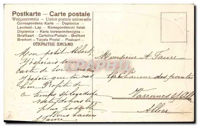 Ptaki w locie — wiosenny krajobraz — Souvenir, SER. 541 — Rewers