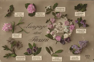 Linguagem das Flores — REX 4048