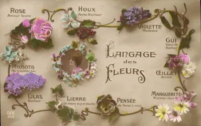 Linguagem das Flores — DIX 555