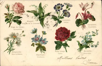 Bilhete postal antigo Fantasia O idioma das Flores