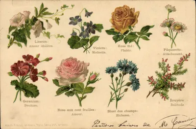 Bilhete postal antigo Fantasia O idioma das Flores