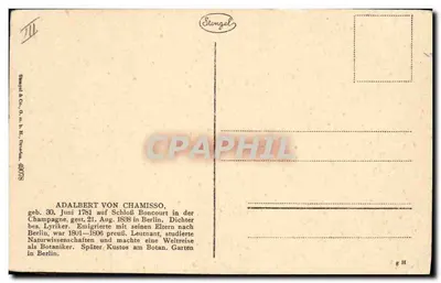 Adalbert von Chamisso — ritratto inciso — Stengel & Co. n° 18978 — Verso