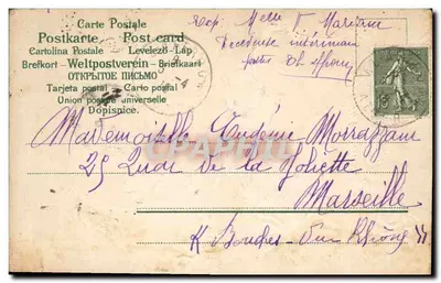 Pansies — carta postal decorativa — editor desconhecido, n° de série 2044 — Verso