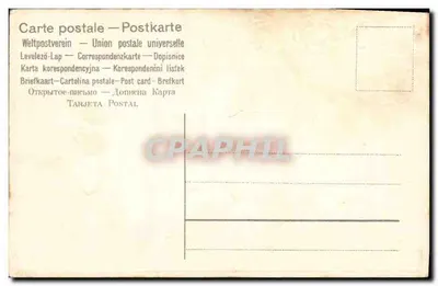 Dwie białe kolumbki i buty z kwiatami — Saint Marcel — wydawca nieodczytelny — Rewers