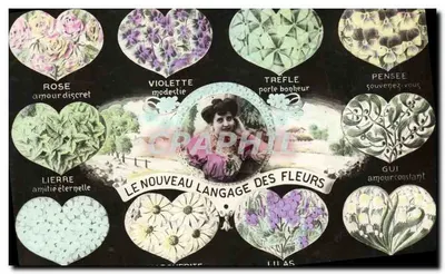 O Novo Linguagem das Flores — Editor não identificado, número de série não visível