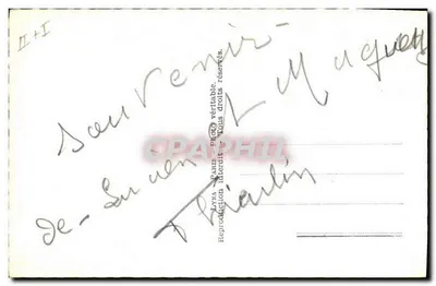 Langage des Fleurs — Iris, Lierre, Églantine, Marguerite — REX n°149 — Verso