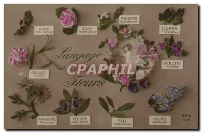 Linguagem das Flores — REX 4048