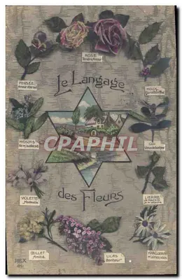 O Idioma das Flores — Carte postale ilustrada com flores e suas significações — editor REX n°431