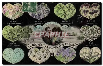 Bilhete postal antigo Fantasia O idioma das Flores