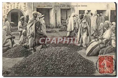 Algérie — Ở phía Nam — Người buôn dừa — Nhà xuất bản Bộ sưu tập Jean Cazin, số 451