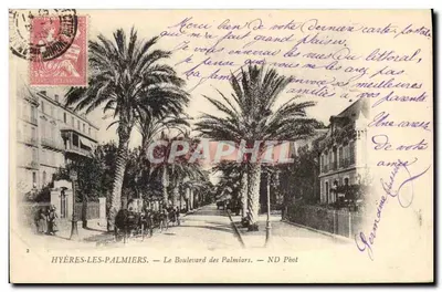 Hyères-les-Palmiers — O Boulevard des Palmiers — ND Pbot