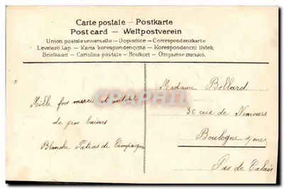 Fioletowe kwiaty — bukiet z parasolem — wydawca nie widoczny — Rewers